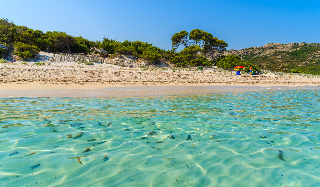 Découvrez Les 10 Plus Belles Plages De Corse Go Voyages