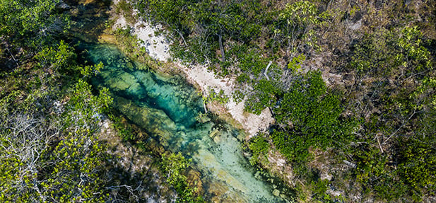 Découvrez la grande biodiversité du Brésil